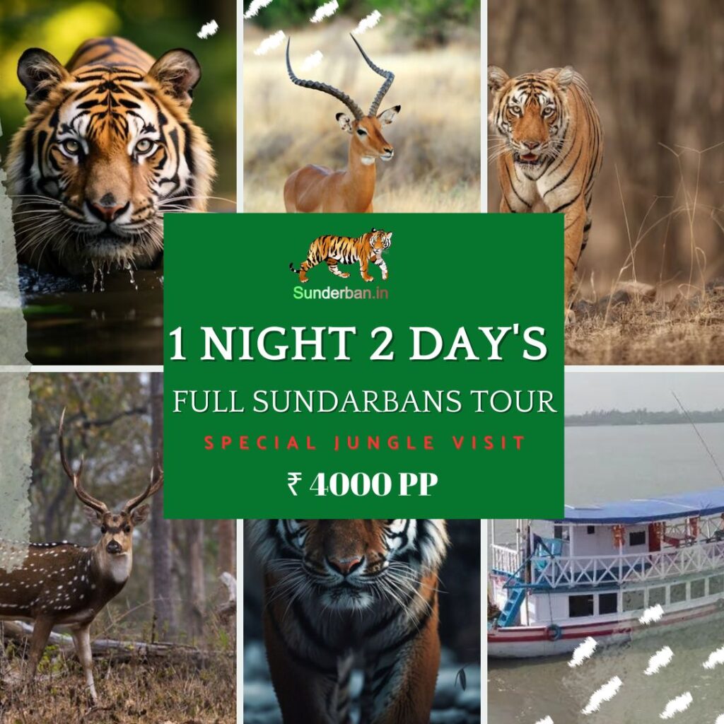 Sundarbans 1 night 2 days tour