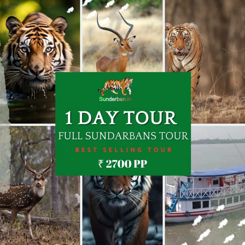 Sundarban full day tour