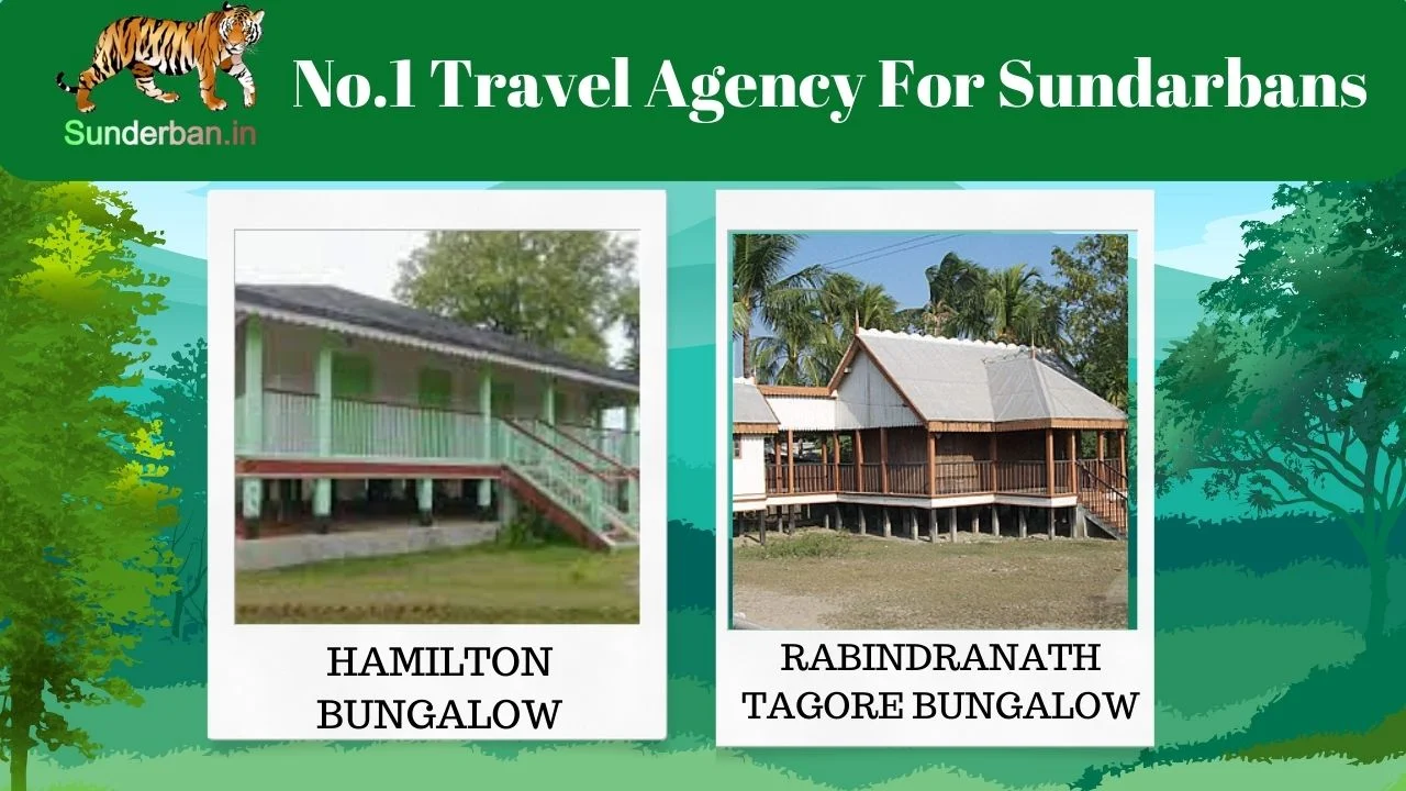Hamilton Bungalow and Rabindranath Tagore Bungalow