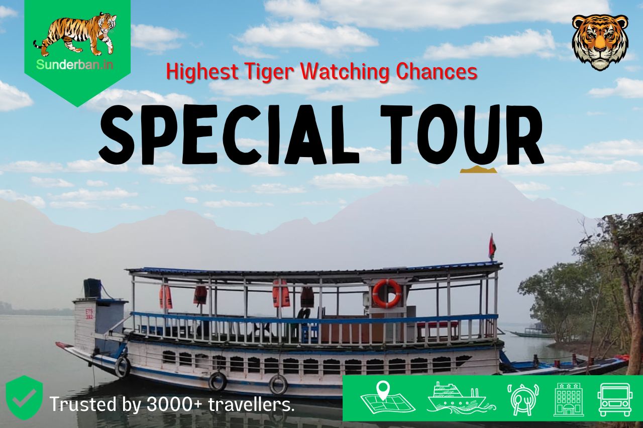 Special Sundarbans Tour