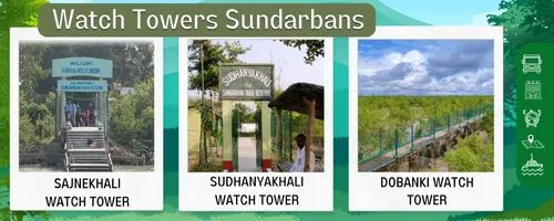 Watch Towers Sundarbans Sajnekhali, Sudhanyakhali, Dobanki.