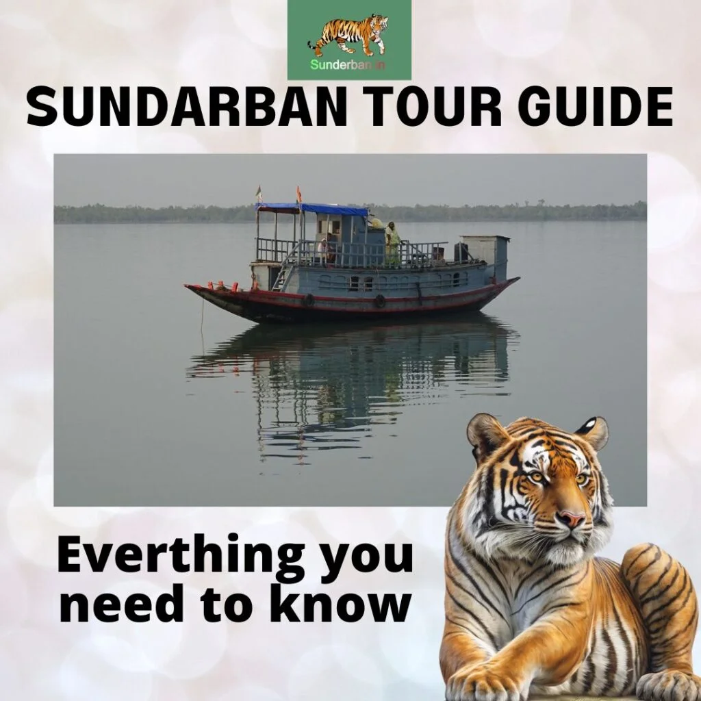 Sundarban Tour Guide